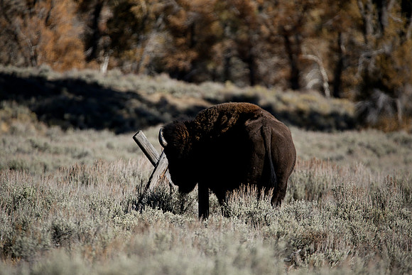 134 (1 of 1)