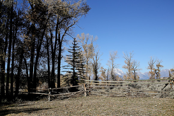 133 (1 of 1)